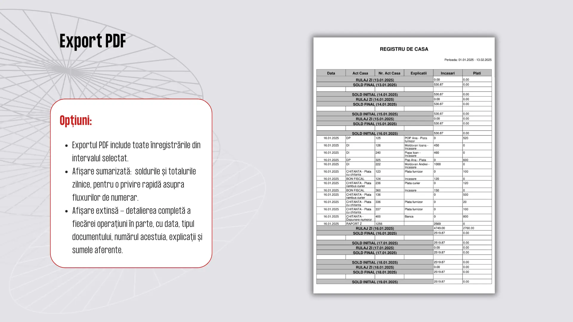 raport registru de casa digital, prezentare screenshot